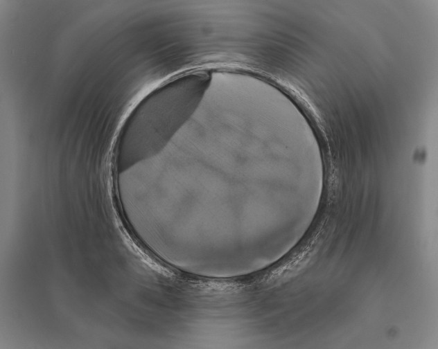 X0000095510941200801111410