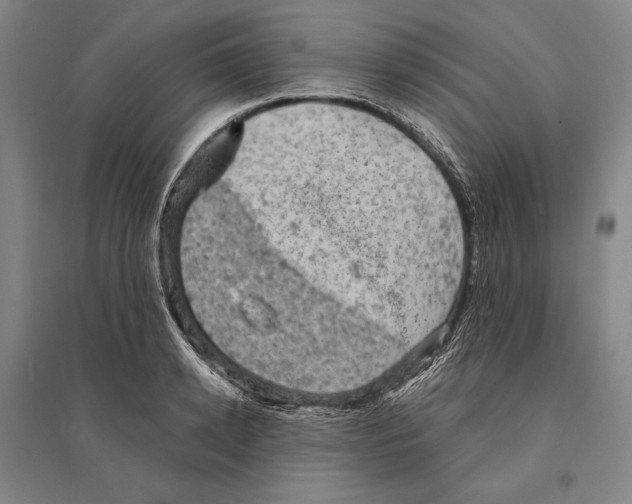 X0000095510942200801111410