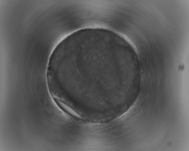 X0000095510943200801111410