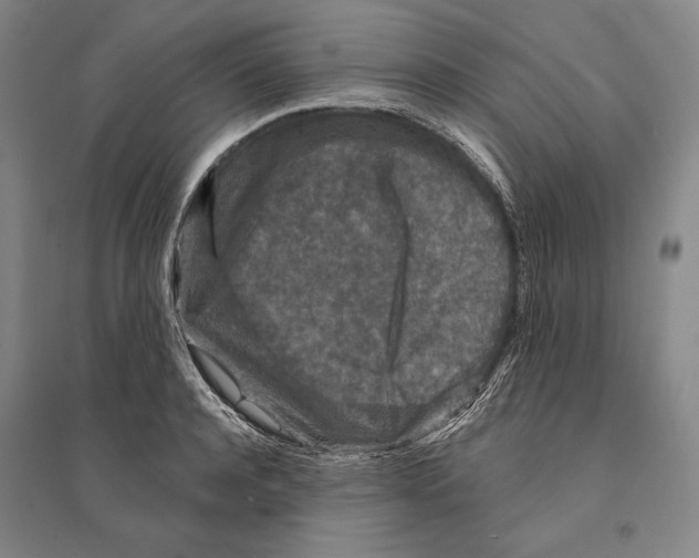 X0000095510944200801111410