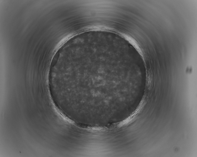 X0000095510946200801111410