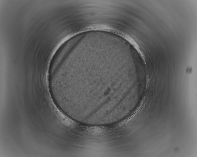 X0000095510947200801111410