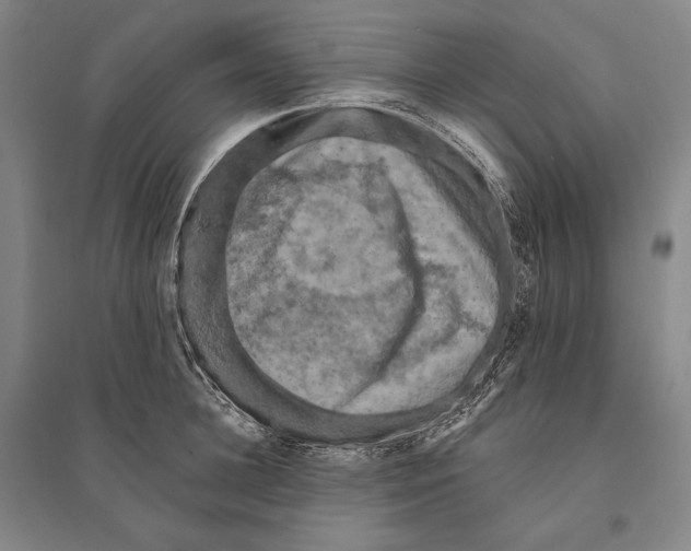 X0000095510948200801111410