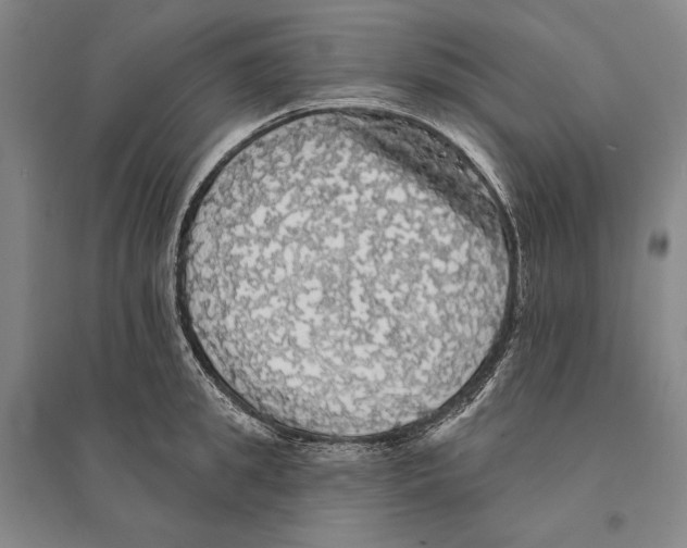 X0000095510949200801111410