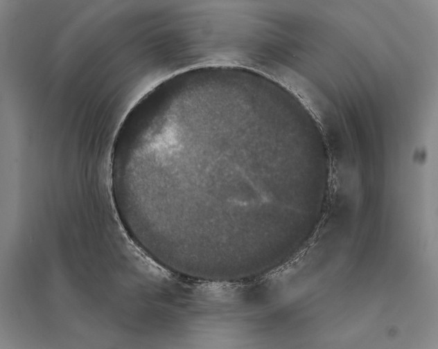 X0000095510950200801111410