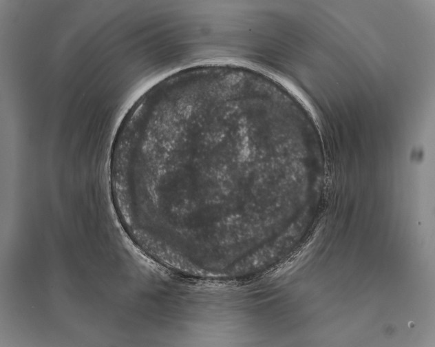 X0000095510951200801111410