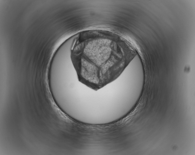 X0000095510952200801111410