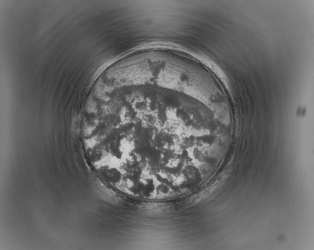 X0000095510953200801111410