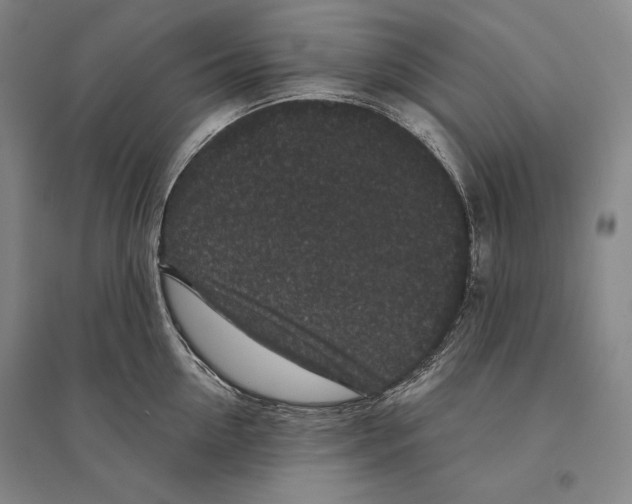 X0000095510954200801111410