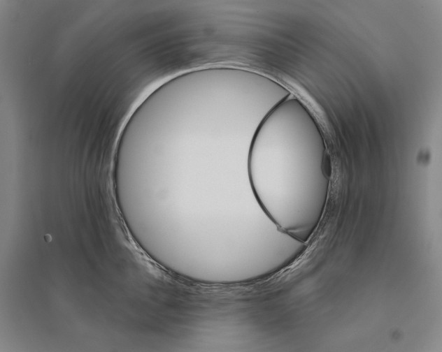 X0000095510956200801111410