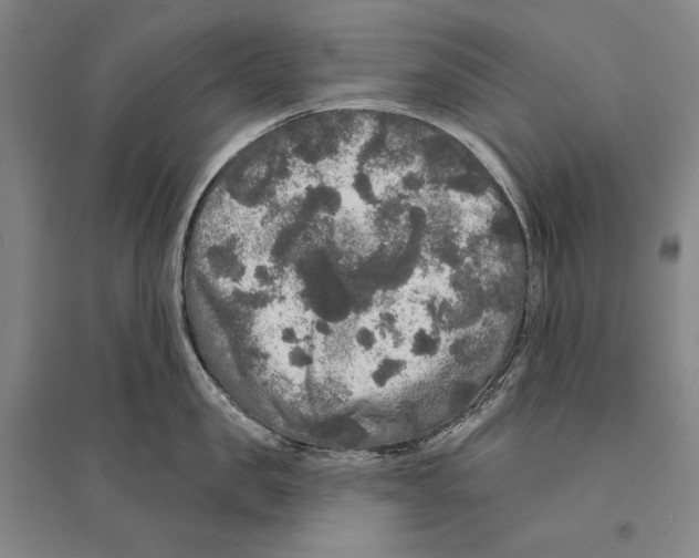 X0000095510957200801111410