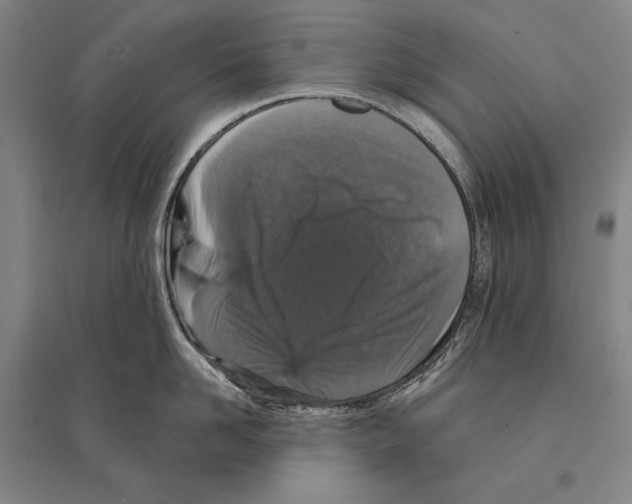 X0000095510958200801111410