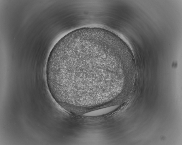 X0000095510959200801111410