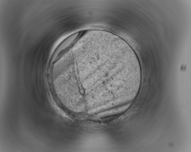 X0000095510960200801111410