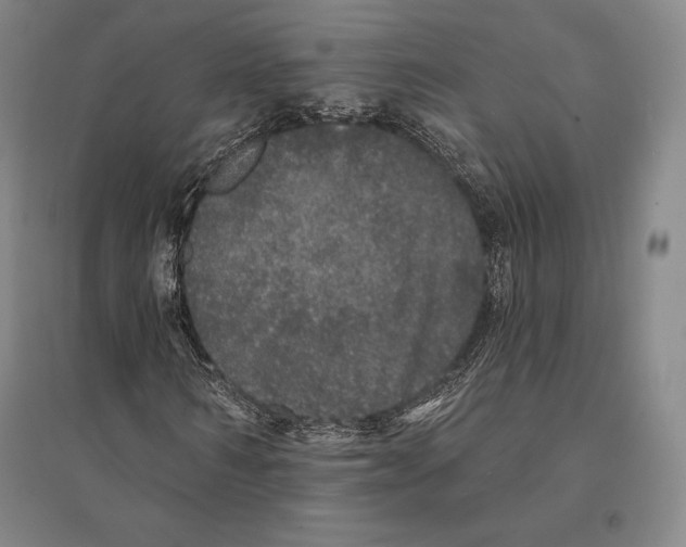 X0000095510962200801111410