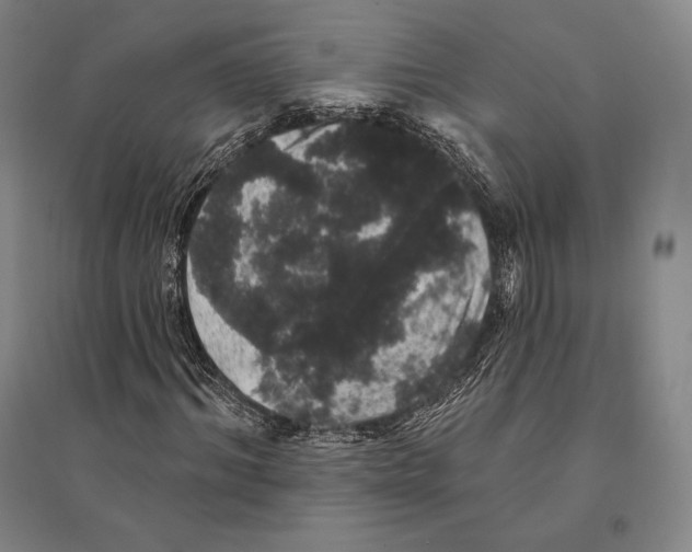 X0000095510964200801111409