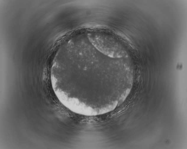 X0000095510966200801111409