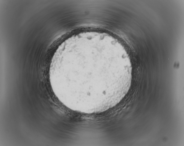 X0000095510967200801111409
