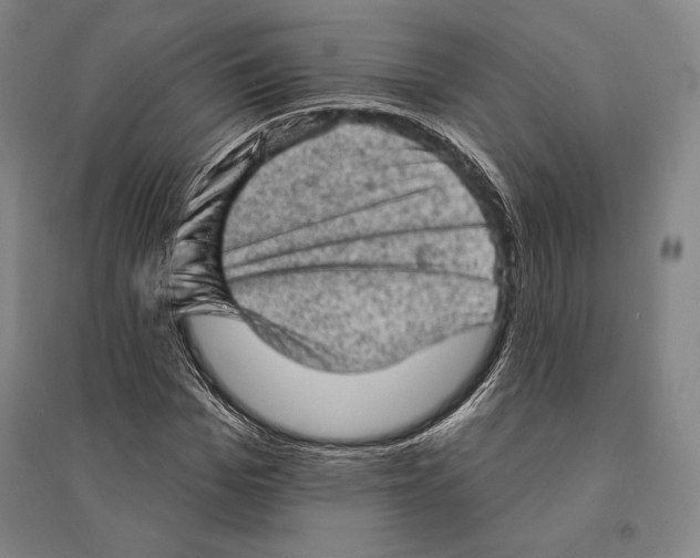 X0000095510969200801111409