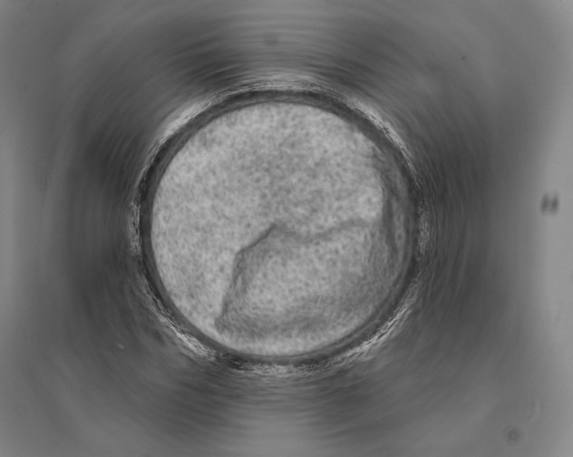 X0000095510970200801111409