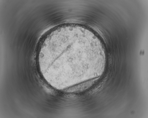 X0000095510971200801111409