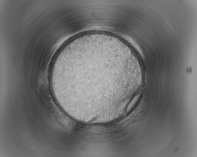 X0000095510972200801111409