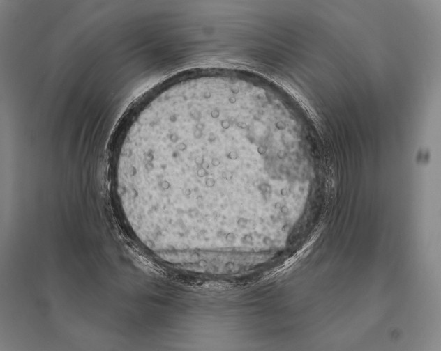 X0000095510974200801111409