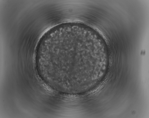 X0000095510975200801111409