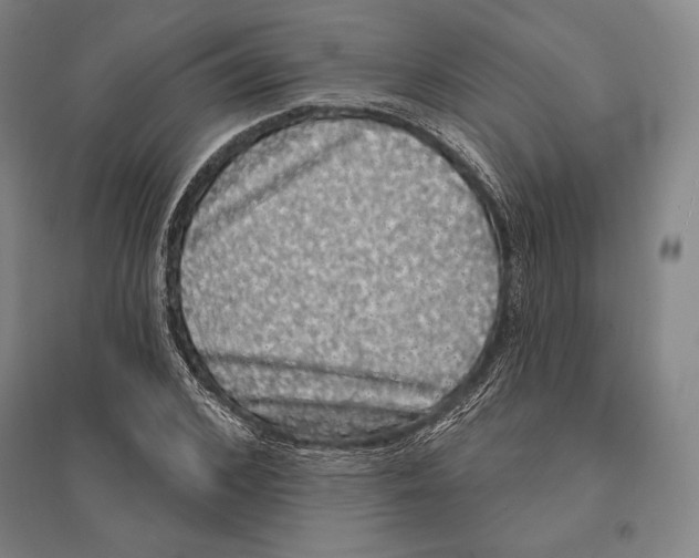 X0000095510976200801111409