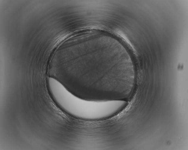 X0000095510977200801111409