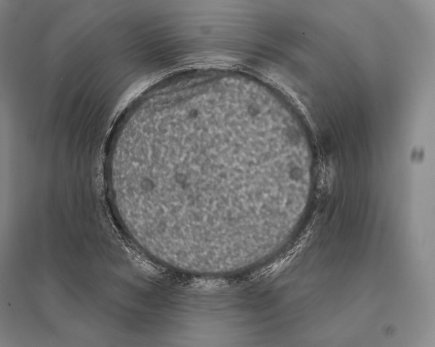 X0000095510978200801111409