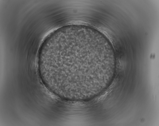X0000095510979200801111409