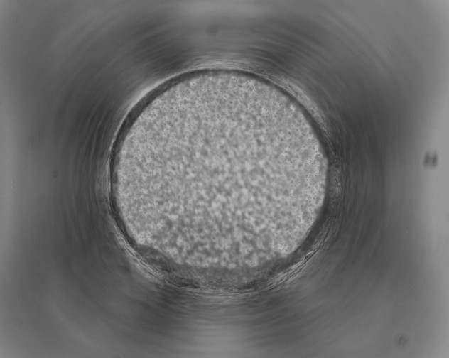 X0000095510980200801111409