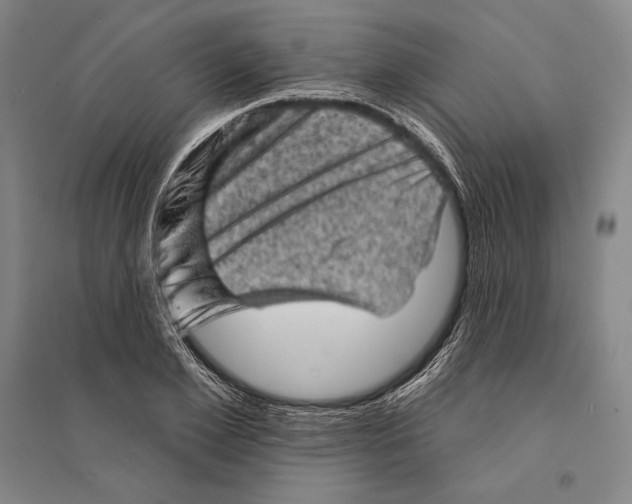 X0000095510981200801111409