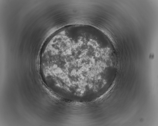 X0000095510982200801111409