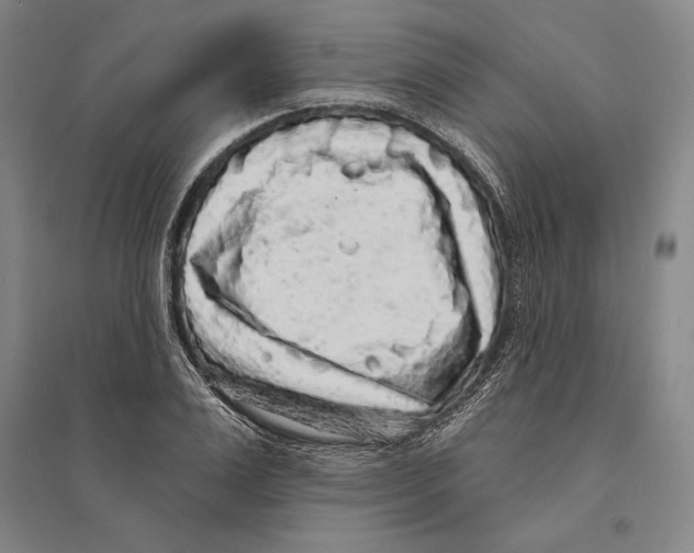X0000095510983200801111409