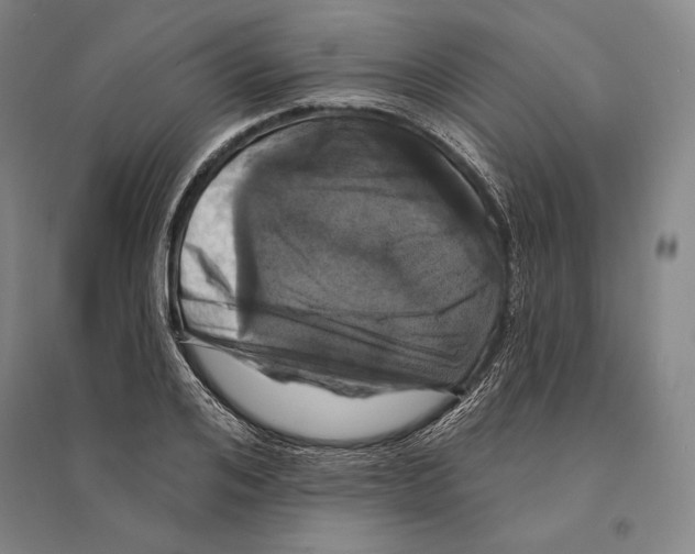 X0000095510984200801111409