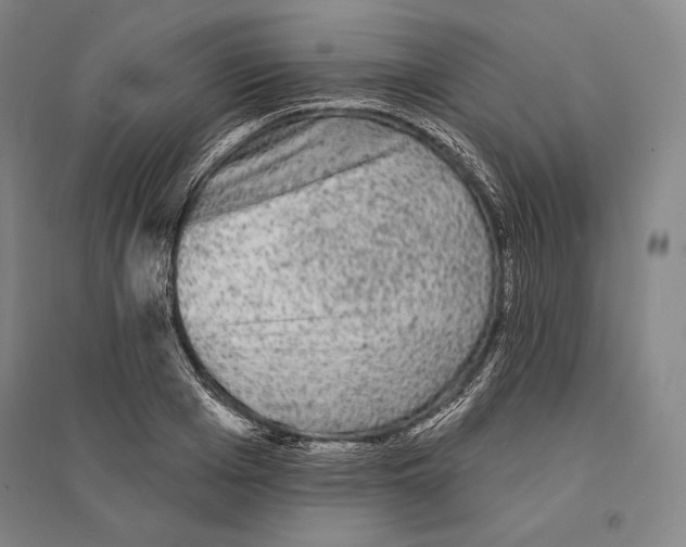 X0000095510985200801111409