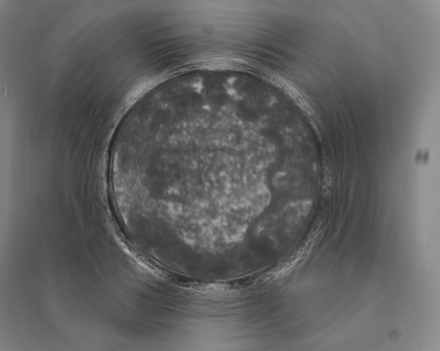 X0000095510986200801111409