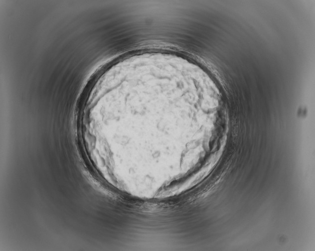 X0000095510987200801111409