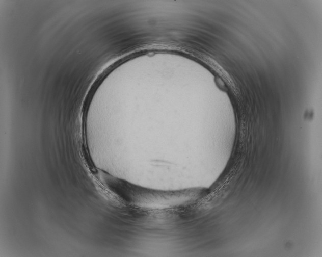 X0000095510988200801111409