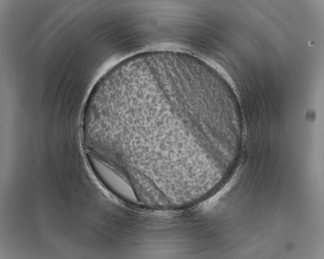X0000095510989200801111409
