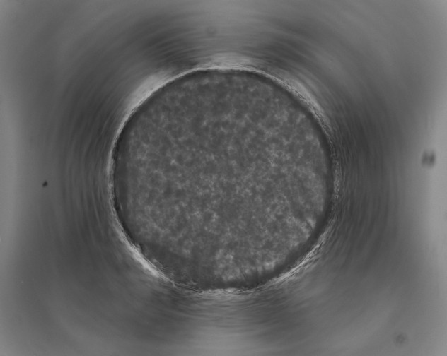 X0000095510990200801111409