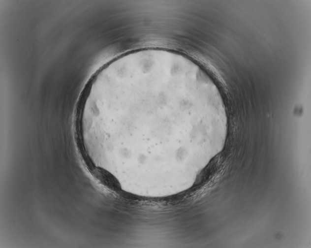 X0000095510991200801111409