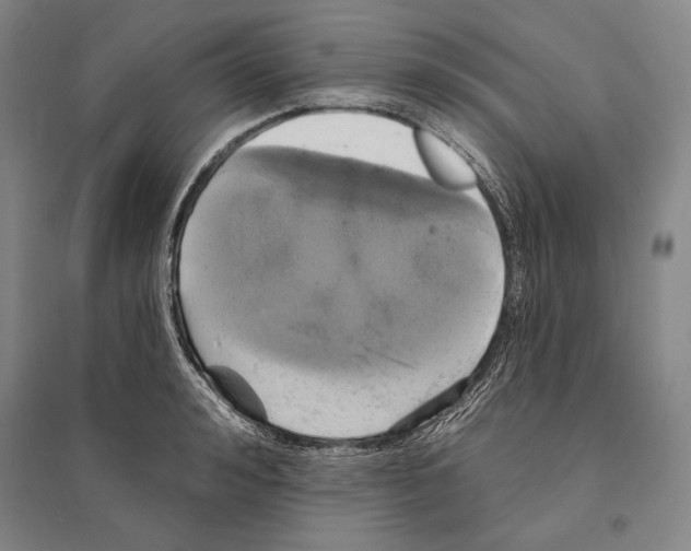 X0000095510992200801111409