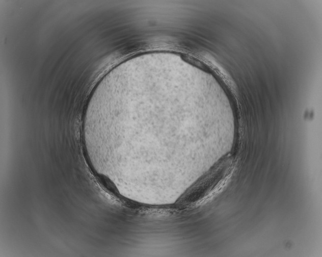 X0000095510993200801111409