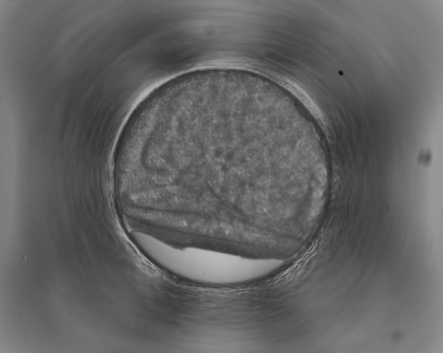 X0000095510996200801111409