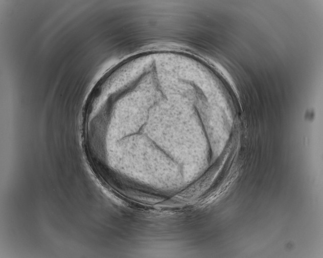 X0000095510997200801111409