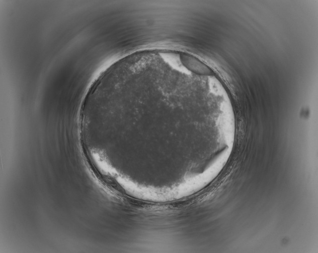 X0000095510998200801111409