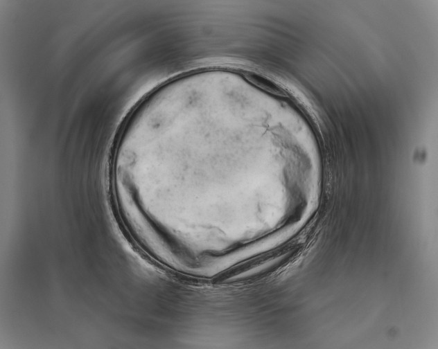 X0000095510999200801111409